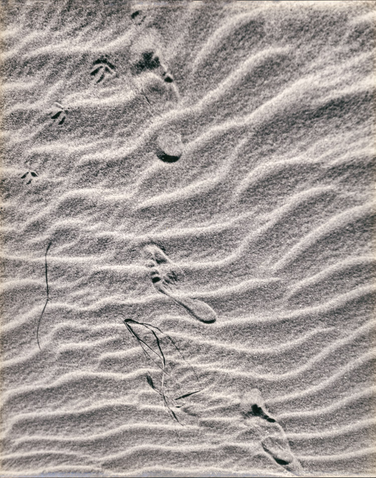 Rodolfo Ostermann. Huellas en la arena, 1959.
