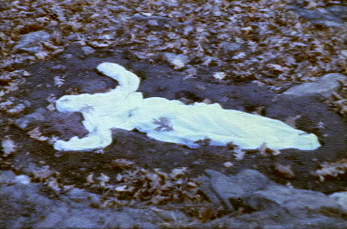 GP-1196-Alma-Silueta-en-Fuego-still-1