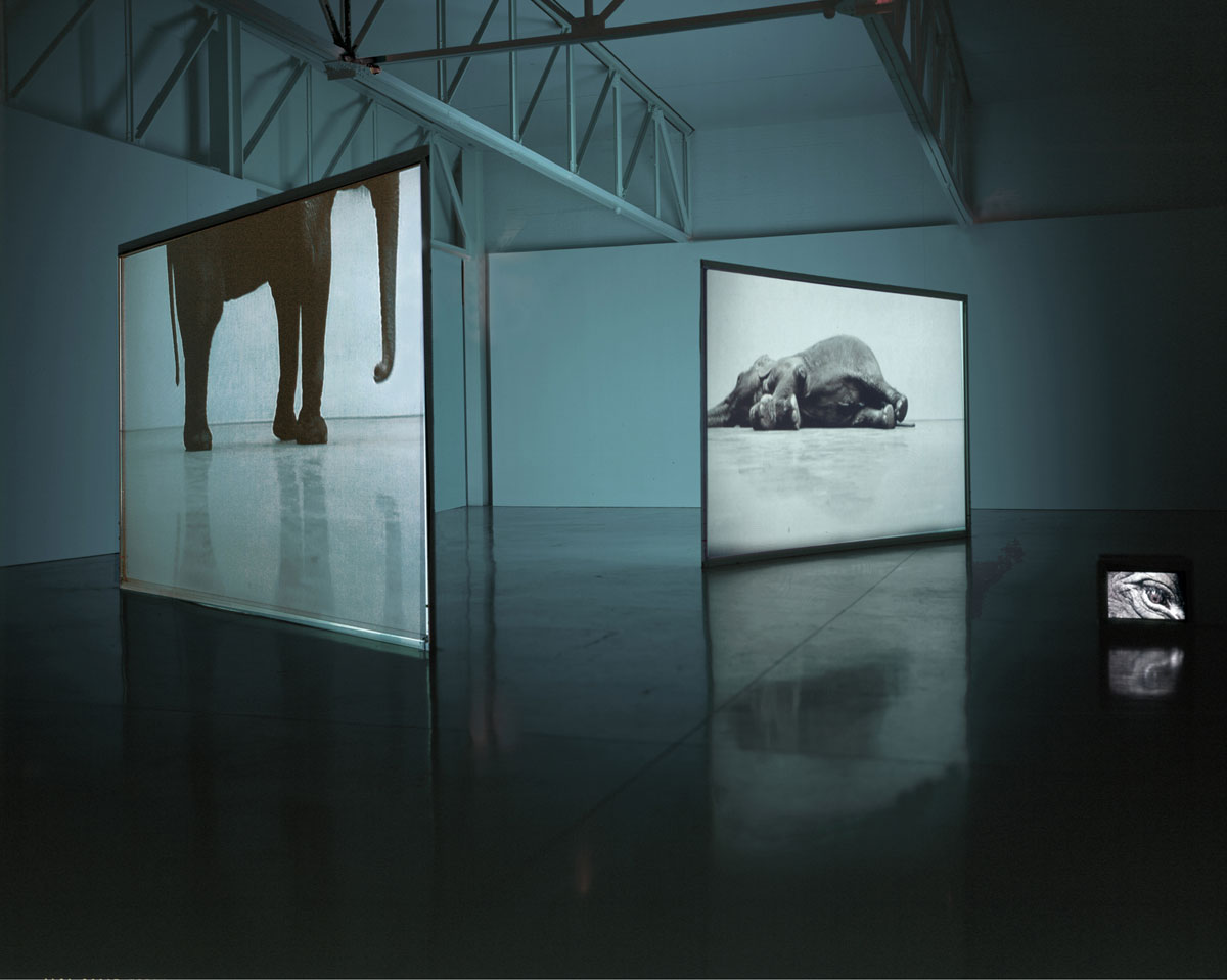 Gordon-Play-Dead-Real-Time-1