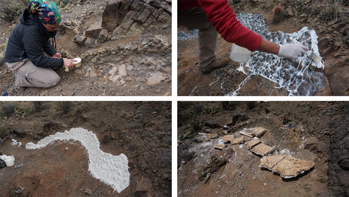 Irene Kopelman Jáchal Córdoba