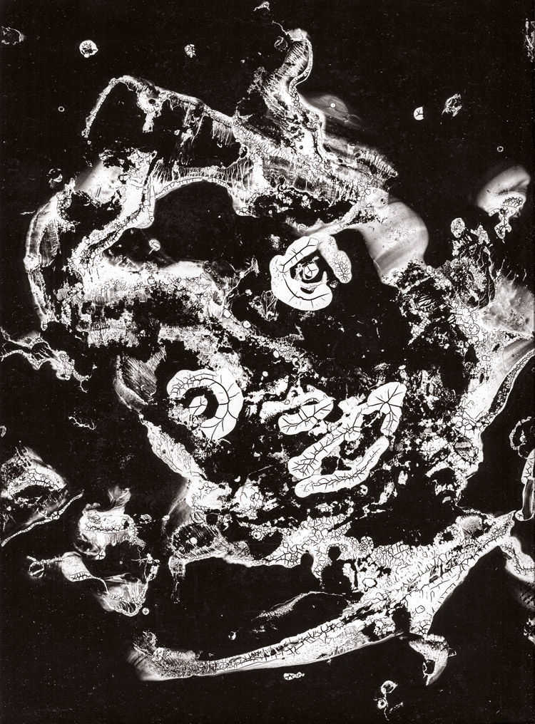 Sameer Makarius. La cabeza de Jonás, 1961.