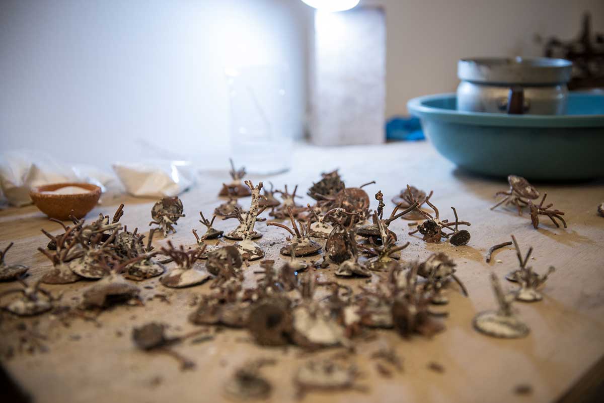 Registro-de-sala-Ximena-Garrido-Lecca-131