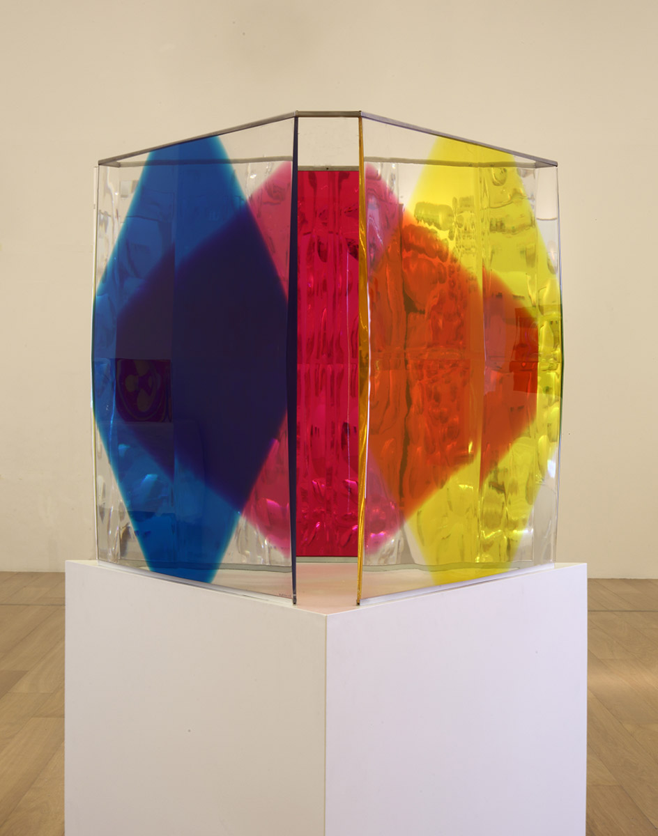 Registro-sala-Polesello-joven-02