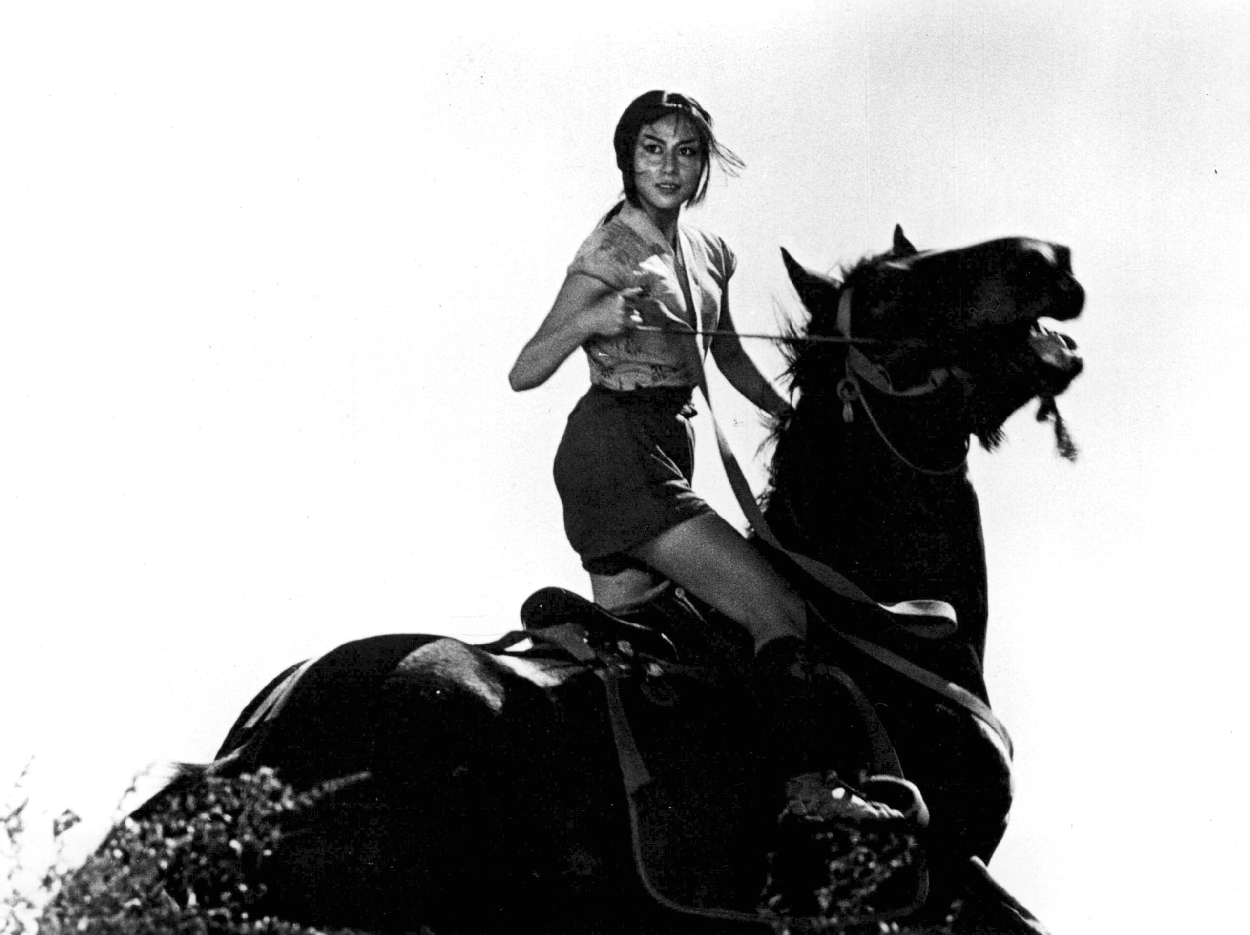 The-Hidden-Fortress隠し砦の三悪人_01-scaled