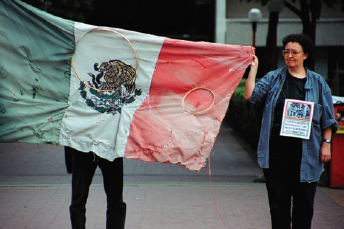 Pinto mi Raya (Víctor Lerma y Mónica Mayer en colaboración con Antonio Juárez, fotógrafo). Nuestras banderas, 2015.