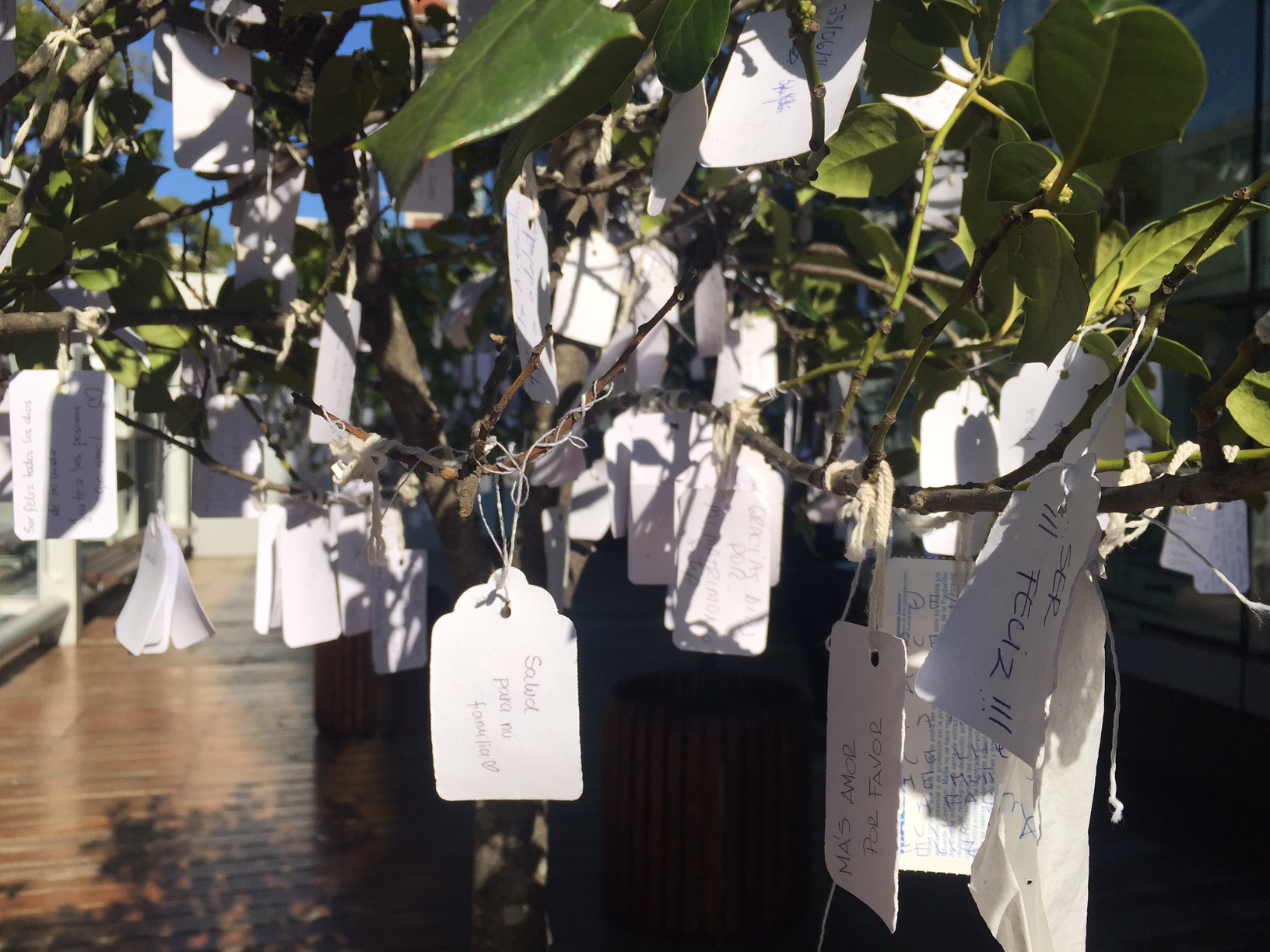 img-responsive Yoko Ono. Wish Trees, MALBA, 2016.