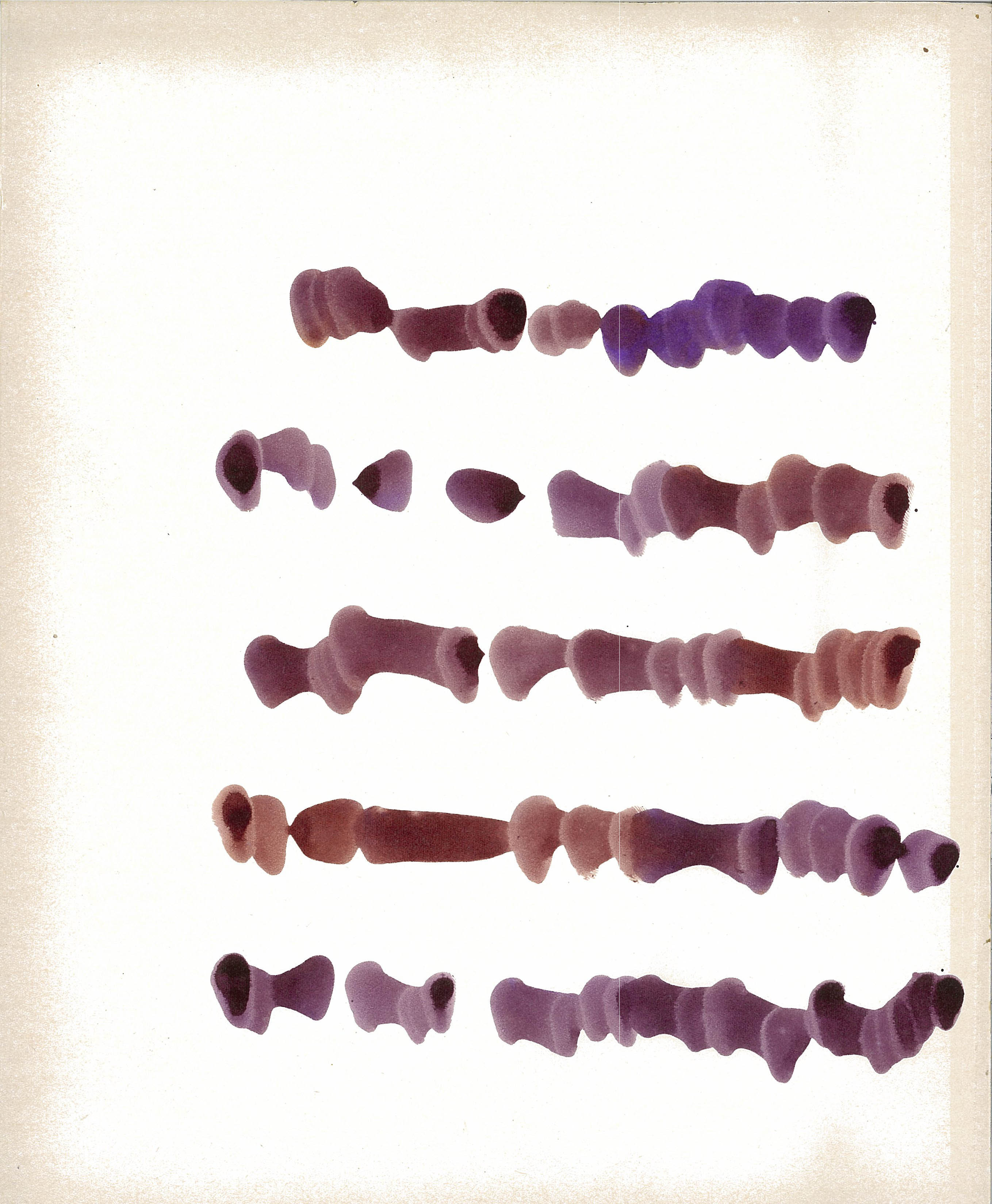 Mirtha-Dermisache.-Sin-título.-Texto.-ca.-1970.-Tinta-sobre-papel