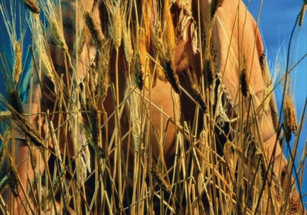Cindy-Sherman-Untitled-152-1985-750