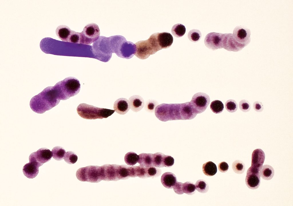 Mirtha-Dermisache-banner