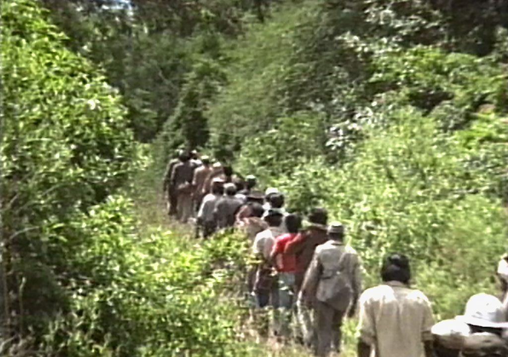 STILL-SENDA-INDIA_02-1